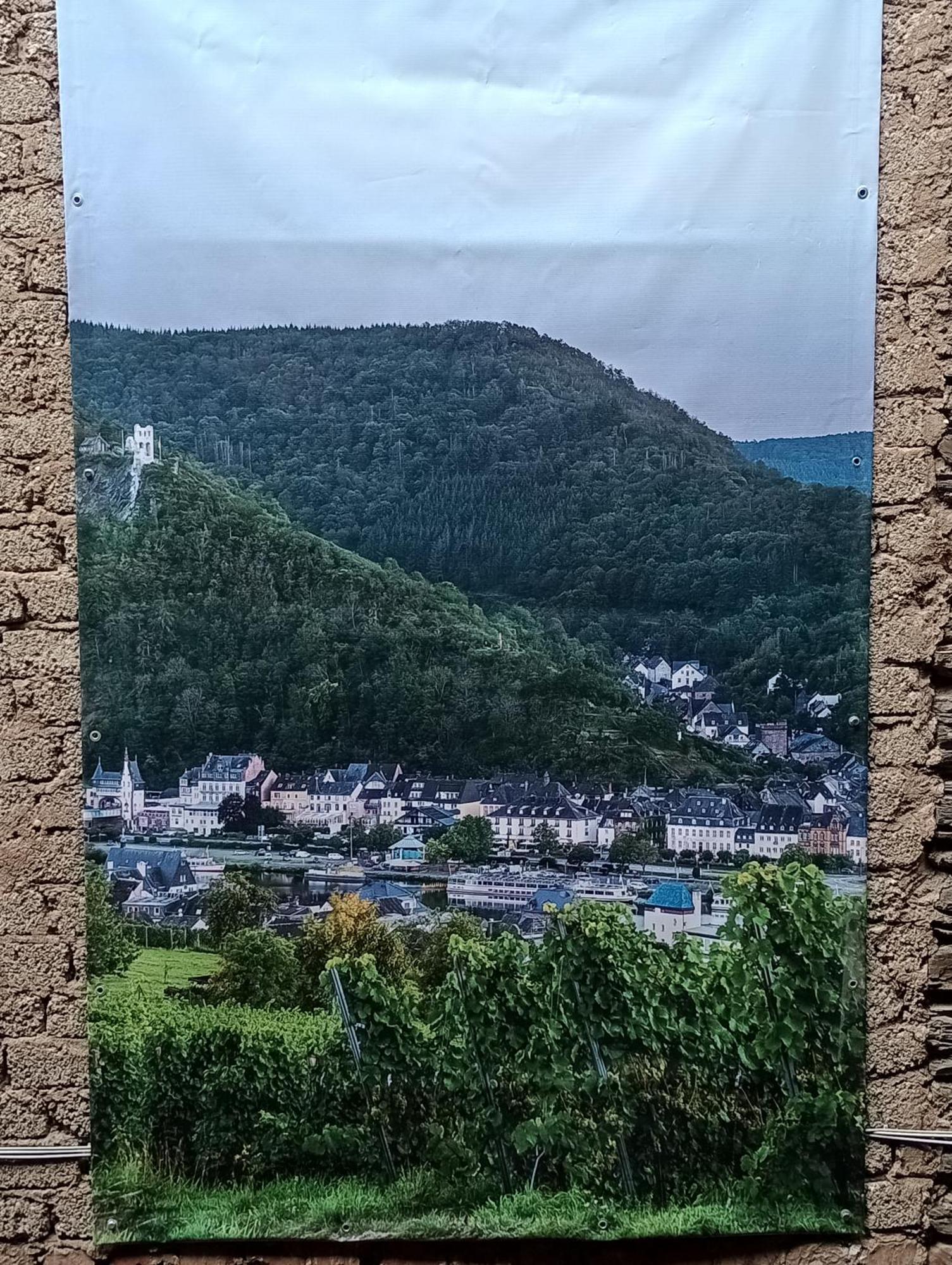 Alte Brennerei Apartments Traben-Trarbach Eksteriør billede